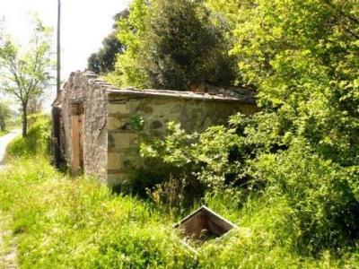 Vente Terrain CASTELLINA-MARITTIMA 56040
