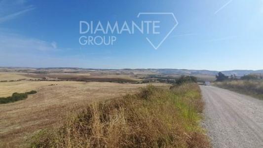 Vente Terrain CASTIGLIONE-D'ORCIA 53023