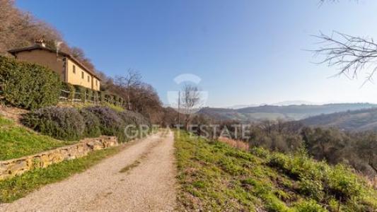 Vente Maison CASTIGLIONE-IN-TEVERINA 01024