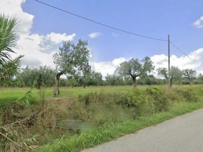 Vente Terrain CECINA 57023