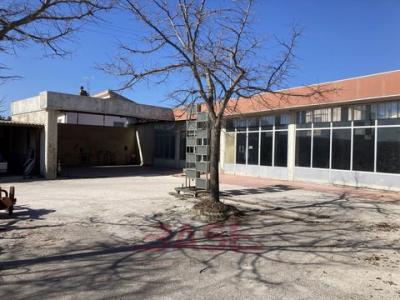 Vente Local industriel CECINA 57023