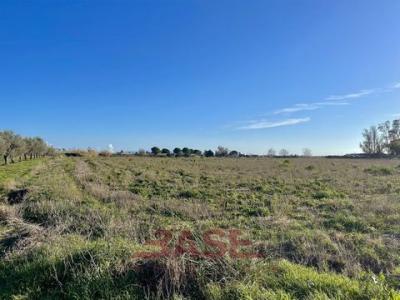 Vente Terrain CECINA 57023