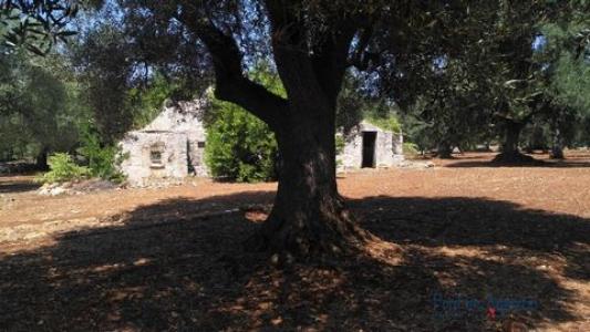 Vente Maison 2 pices CEGLIE-MESSAPICA 72013