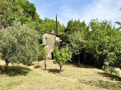 Vente Maison CETONA 53040