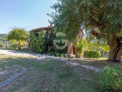 Vente Maison CITTA-DELLA-PIEVE 06062