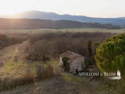 Vente Maison CITTA-DELLA-PIEVE 06062