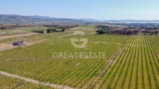 Vente Maison CORTONA 52044