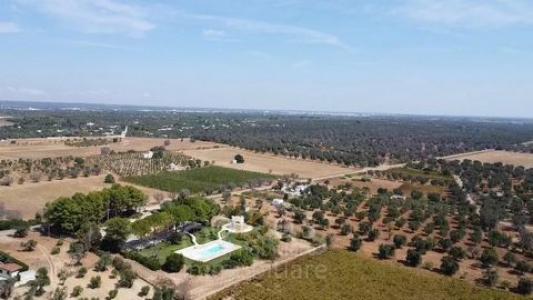 Vente Maison 10 pices FRANCAVILLA-FONTANA 72021