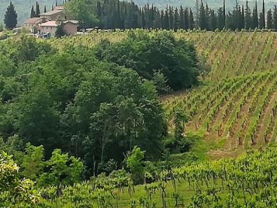 Vente Terrain GAMBASSI-TERME 50050