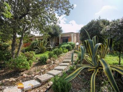 Vente Immeuble LU-COLBU 07038