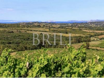 Vente Maison LU-COLBU 07038