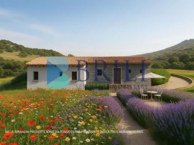 Vente Terrain LUOGOSANTO 07020