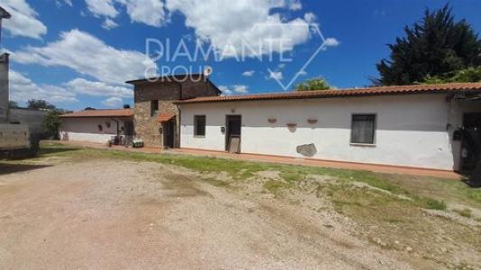 Vente Maison 24 pices MASSA-MARITTIMA 58024