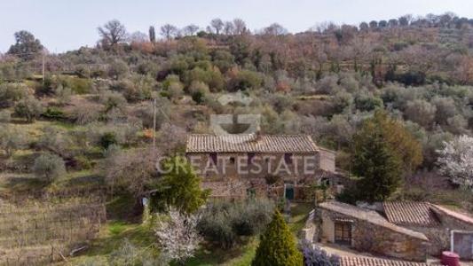 Vente Maison MONTALCINO 53024
