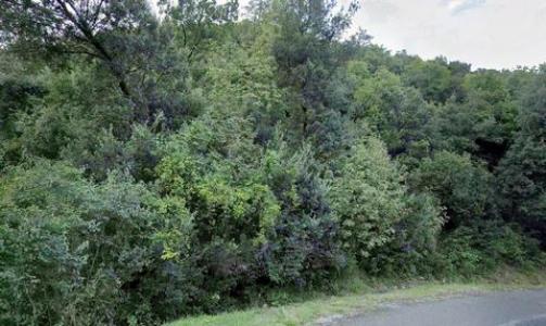Vente Terrain MONTECATINI-VAL-DI-CECINA 56040