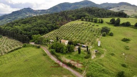 Vente Maison 10 pi�ces MONTECATINI-VAL-DI-CECINA 56040