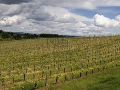 Vente Maison MONTEPULCIANO 53045