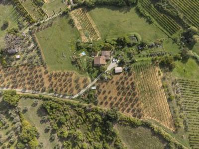 Vente Maison MONTEPULCIANO 53045