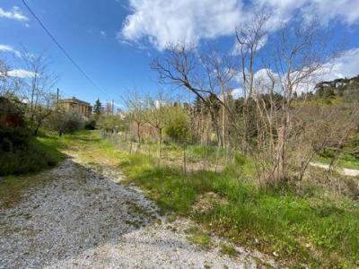 Vente Terrain MONTEPULCIANO 53045