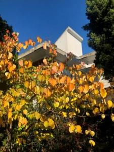 Vente Maison MONTESILVANO-COLLE 65015