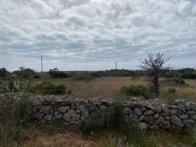 Vente Terrain MORCIANO-DI-LEUCA 73040