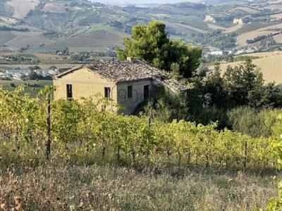 Vente Maison OFFIDA 63073