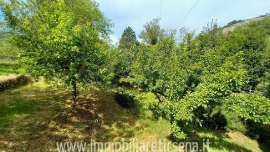 Vente Appartement ORVIETO 05018