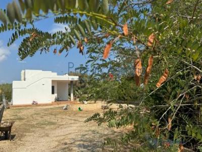 Vente Maison 2 pices OSTUNI 72017