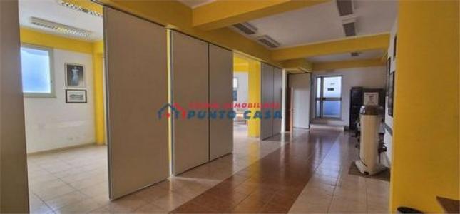 Vente Local commercial PACECO 91027