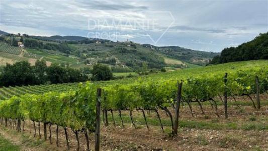 Vente Terrain SAN-CASCIANO-IN-VAL-DI-PESA 50020