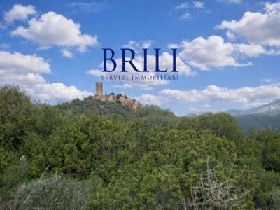 Vente Appartement 3 pi�ces SANTA-MARIA-COGHINAS 07030