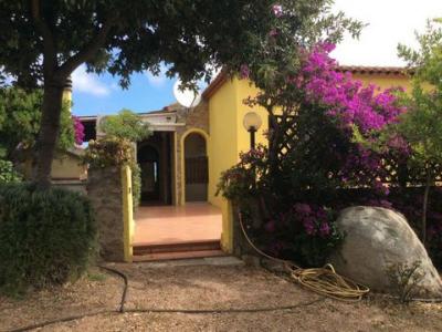 Vente Maison 3 pices SANTA-TERESA-GALLURA 07028