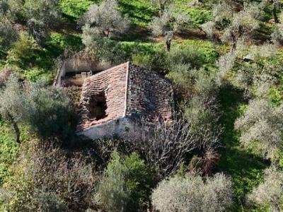 Vente Terrain SASSARI 07040