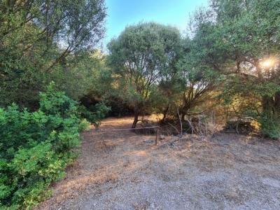Vente Terrain SASSARI 07040