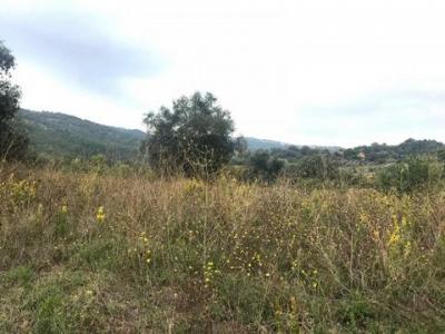 Vente Maison 5 pi�ces SCANSANO 58054