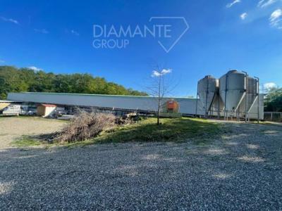 Vente Maison 6 pices SIENA 53100