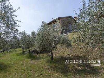 Vente Maison SINALUNGA 53048