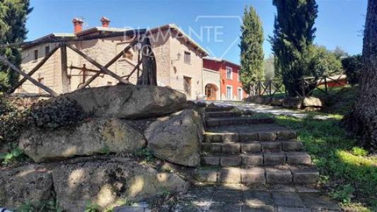 Vente Maison 17 pices SORANO 58010