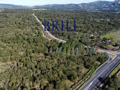 Vente Terrain TEMPIO-PAUSANIA 07029