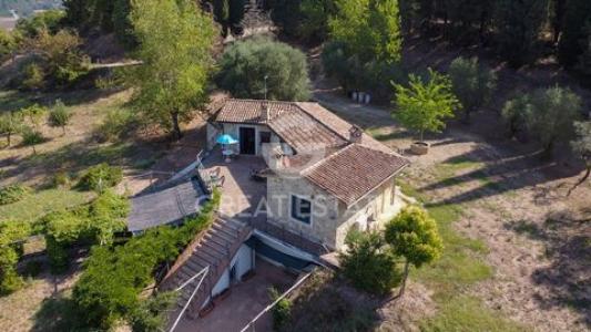 Vente Maison TODI 06059