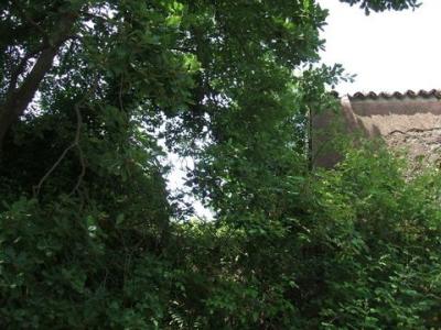 Vente Maison TRECASTAGNI 95039