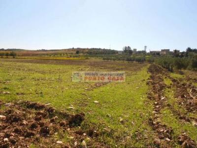 Vente Terrain VALDERICE 91010