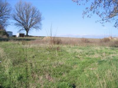 Acheter Immeuble 1600 m2 Castiglione-del-lago