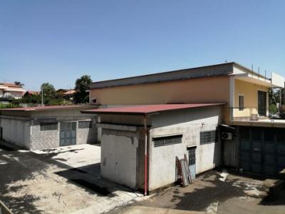 Acheter Local commercial 1900 m2 Carrabba