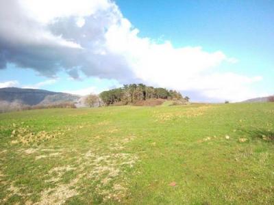 Annonce Vente Terrain Anagni