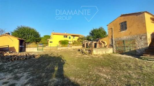 Acheter Maison 910 m2 Magliano-in-toscana