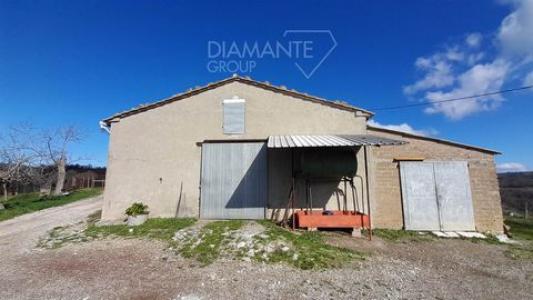 Annonce Vente 4 pices Maison Scansano