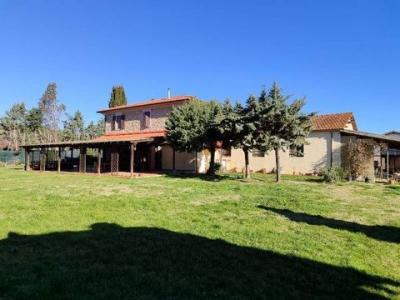 Annonce Vente Maison Monteverdi-marittimo