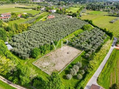 Acheter Maison Bardolino rgion VERONA