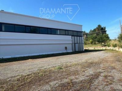 Louer Local commercial 600 m2 Panicale